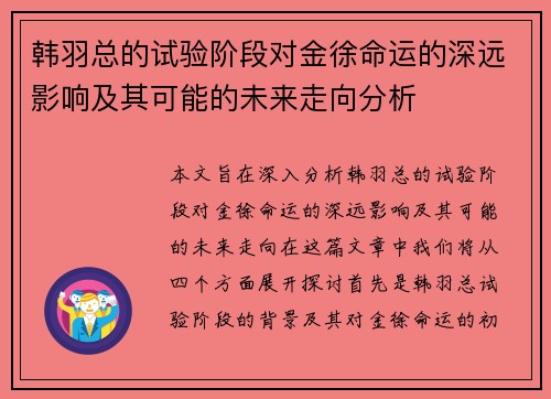 韩羽总的试验阶段对金徐命运的深远影响及其可能的未来走向分析