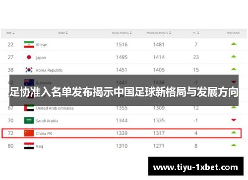 足协准入名单发布揭示中国足球新格局与发展方向