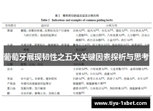 葡萄牙展现韧性之五大关键因素探析与思考