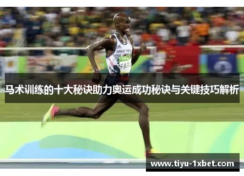 马术训练的十大秘诀助力奥运成功秘诀与关键技巧解析 马术训练的十大秘诀助力奥运成功秘诀与关键技巧解析